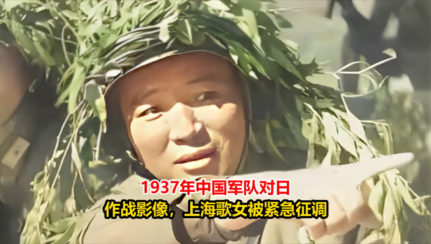 54k波肖门尾图库免费大全,高圆圆赵又廷逛超市被偶遇,重点解答解释落实_入门版V10.86